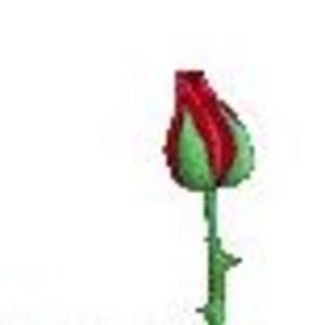 Meet your Posher, Lenny